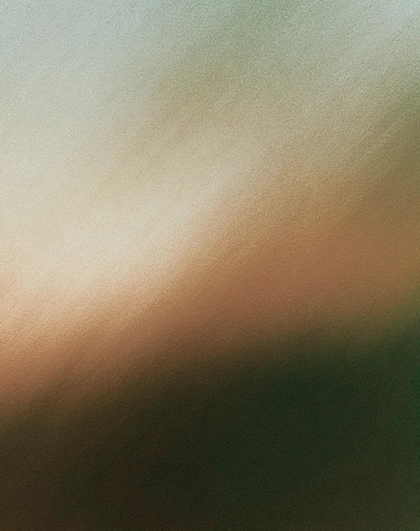 Abstract trace of wind over wheat